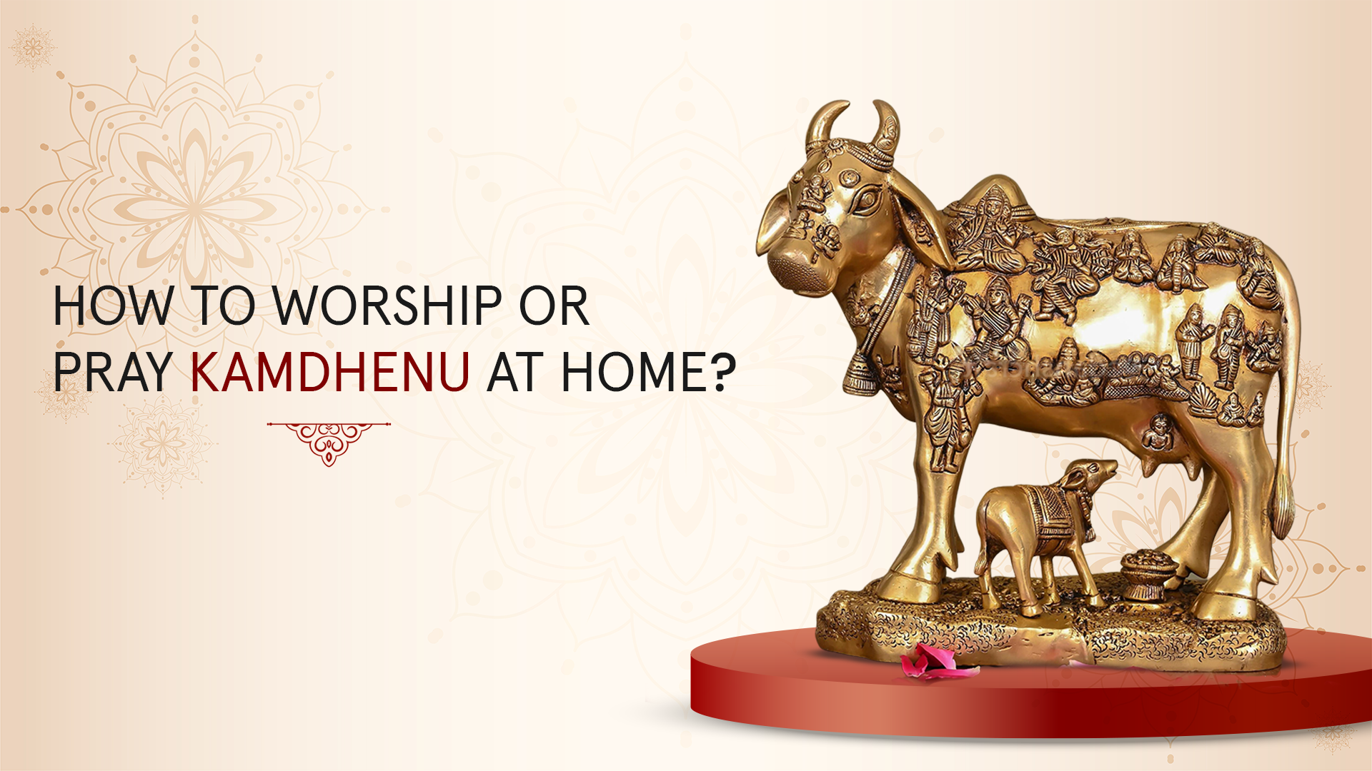How To Worship Or Pray Kamdhenu At Home?