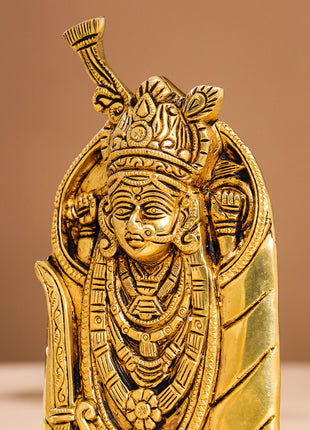 Brass Aashapura Maa Idol (7 Inch)