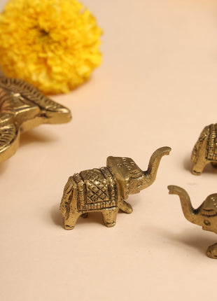 Brass Elephant Statue Set With Gift Box