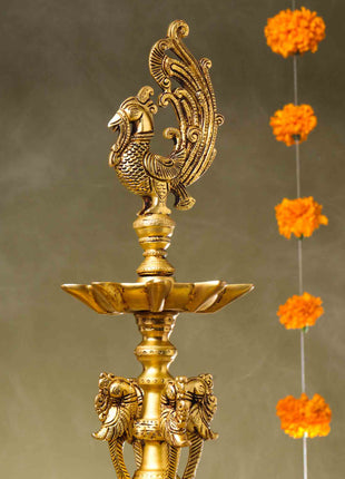 Brass Peacock Long Lamp (34 Inch)