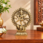 Height - 4 inch (3 x 1 x 4 inch) ; weight - 100 gram