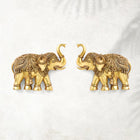 Brass Elephant Wall Hanging Set (15 Inch)