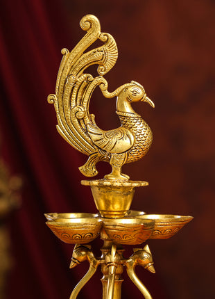 Brass Twelve Petal Peacock Long Lamp (20 Inch)