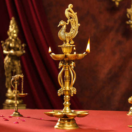 Brass Twelve Petal Peacock Long Lamp (20 Inch)