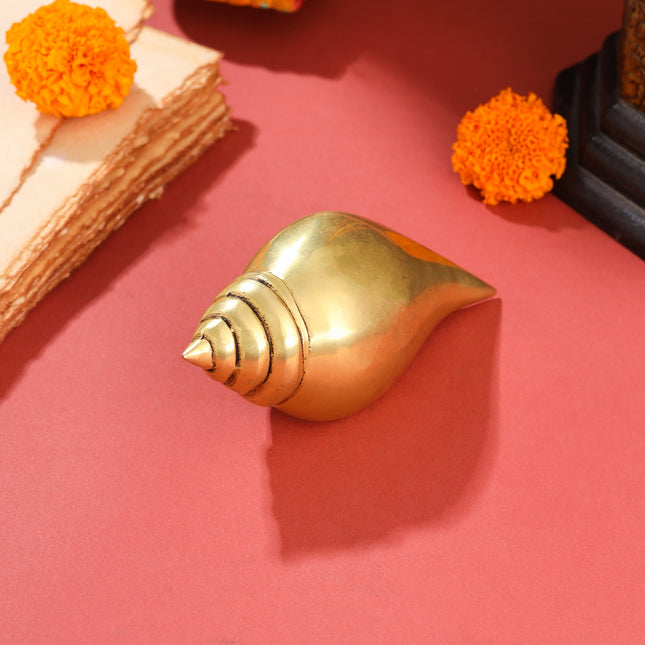 Brass Conch (5 Inch)