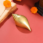 Conch (Weight - 430 Gram)