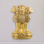 Height - 16 inch (10.2 x 2 x 16 inch) ; weight - 6.3 kg