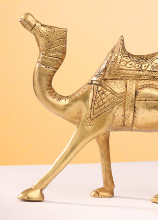 Brass Standing Camel Statue (6 Inch)