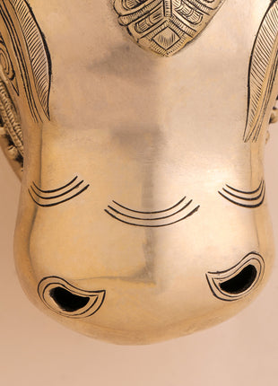 Brass Nandi Head Wall Decor (10 Inch)