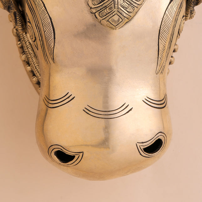 Brass Nandi Head Wall Decor (10 Inch)