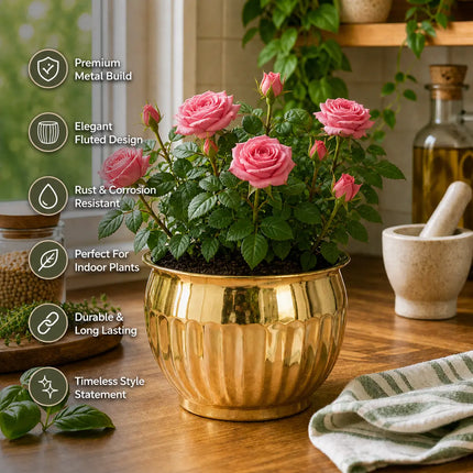 Brass Round Bucket Planter Pot