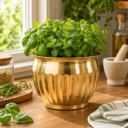 Brass Round Bucket Planter Pot