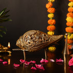 Conch With Stand - (Weight - 1.4 Kg)