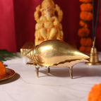 Conch With Stand (Weight - 470 Gram)