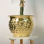 Height - 4 inch ; daimeter - 6 inch ; weight - 250 gram