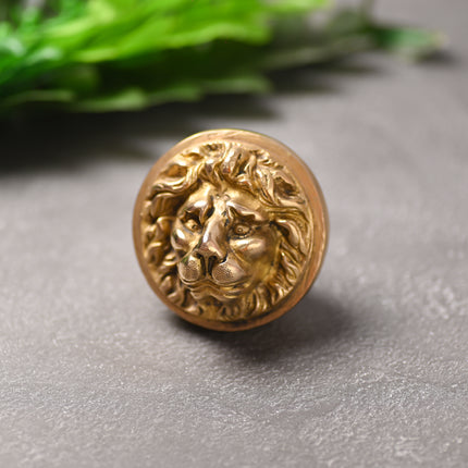 Brass Lion Face Drawer Knobs – Majestic Handcrafted Brass Hardware (3 Inch)