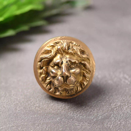 Brass Lion Face Drawer Knob (3 Inch)