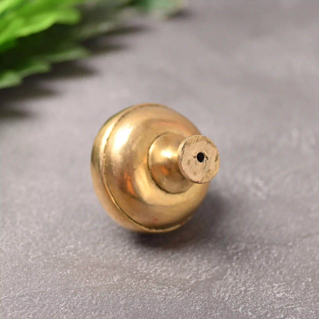 Brass Lion Face Drawer Knob (3 Inch)
