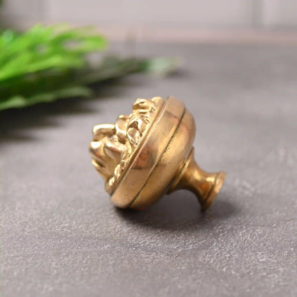 Brass Lion Face Drawer Knob (3 Inch)