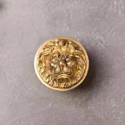 Brass Lion Face Drawer Knob (3 Inch)