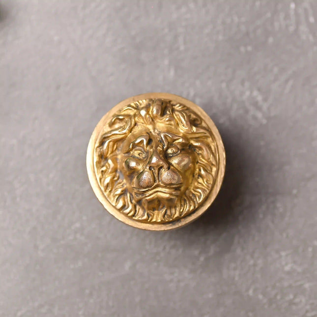 Brass Lion Face Drawer Knob (3 Inch)