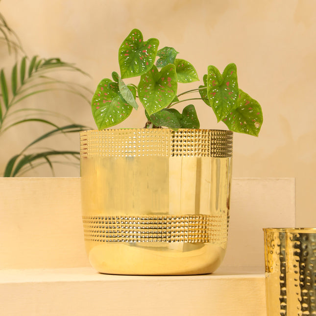 Brass Bucket Round Planter Pot (9 Inch)