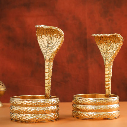 Brass Naag Design Abhishekam (12 Inch)