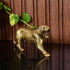 Height - 3 inch (8 x 1.5 x 3 inch) ; weight - 700 gram