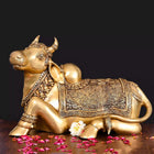 Brass Majestic Nandi Superfine Idol (15 Inch)