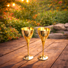 Brass Champagne Wine Glass Pair (8.5 Inch)