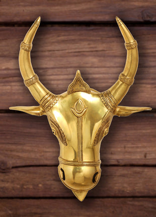 Brass Bull Head Wall Hanging (18 Inch)