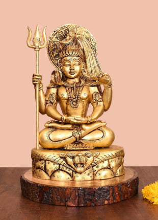 Brass Lord Shiva Idol (12.5 Inch)