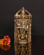 Brass Superfine Tirupati Balaji/Venkateshwar Idol Wall Hanging (7.5 Inch)