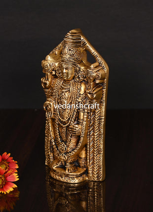 Brass Superfine Tirupati Balaji/Venkateshwar Idol Wall Hanging (7.5 Inch)