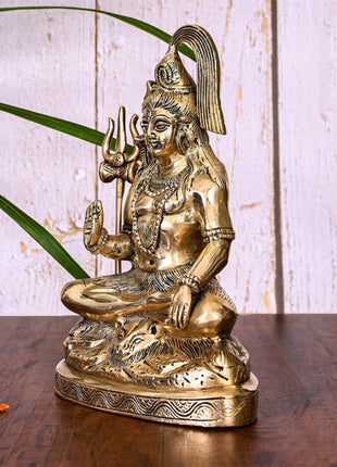 Brass Lord Shiva Idol (9 Inch)