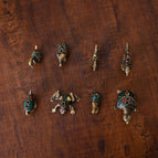 ONLY TORTOISE SET OF 8