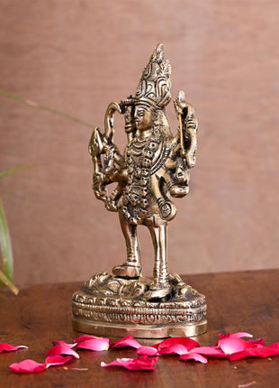 Brass Goddess Kali Idol (6.5 Inch)