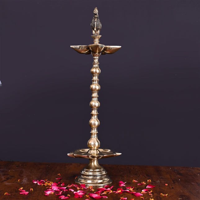 Brass 10 Petal Peacock Long Lamp (17 Inch)