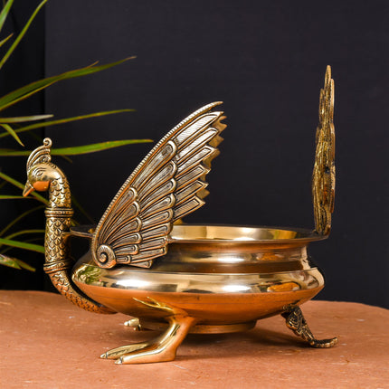 Majestic Brass Peacock Urli (11" Inch)