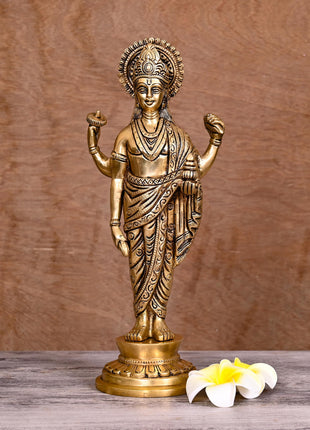 Brass Superfine Lord Dhanvantari Statue (12 Inch)