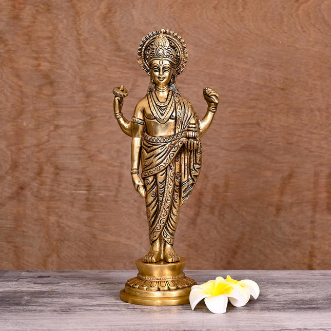 Brass Superfine Lord Dhanvantari Statue (12 Inch)