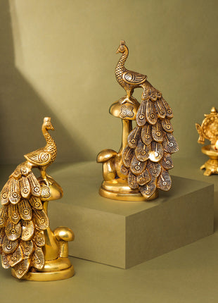 Brass Decorative Peacock Set (8.5 Inch)