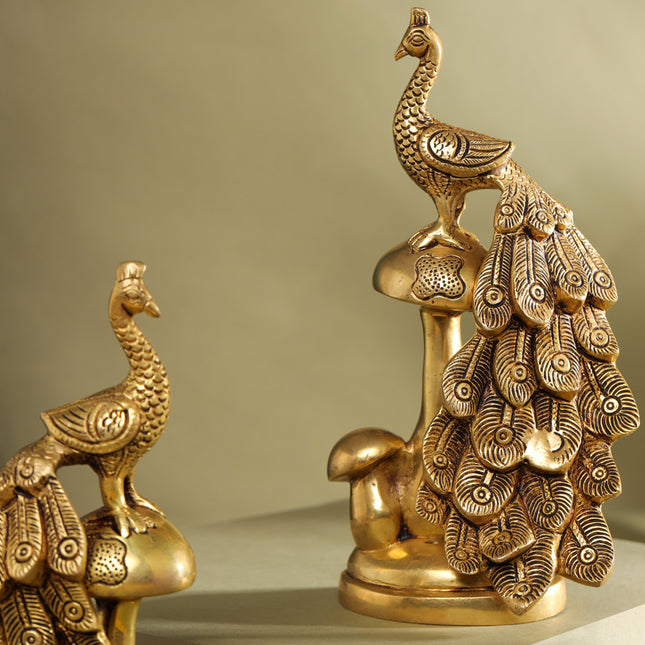 Brass Decorative Peacock Pair (8.5 Inch)